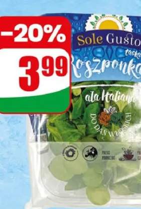 sałata