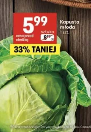 kapusta młoda