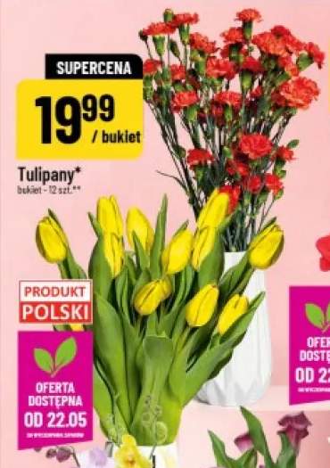 tulipany bukiet