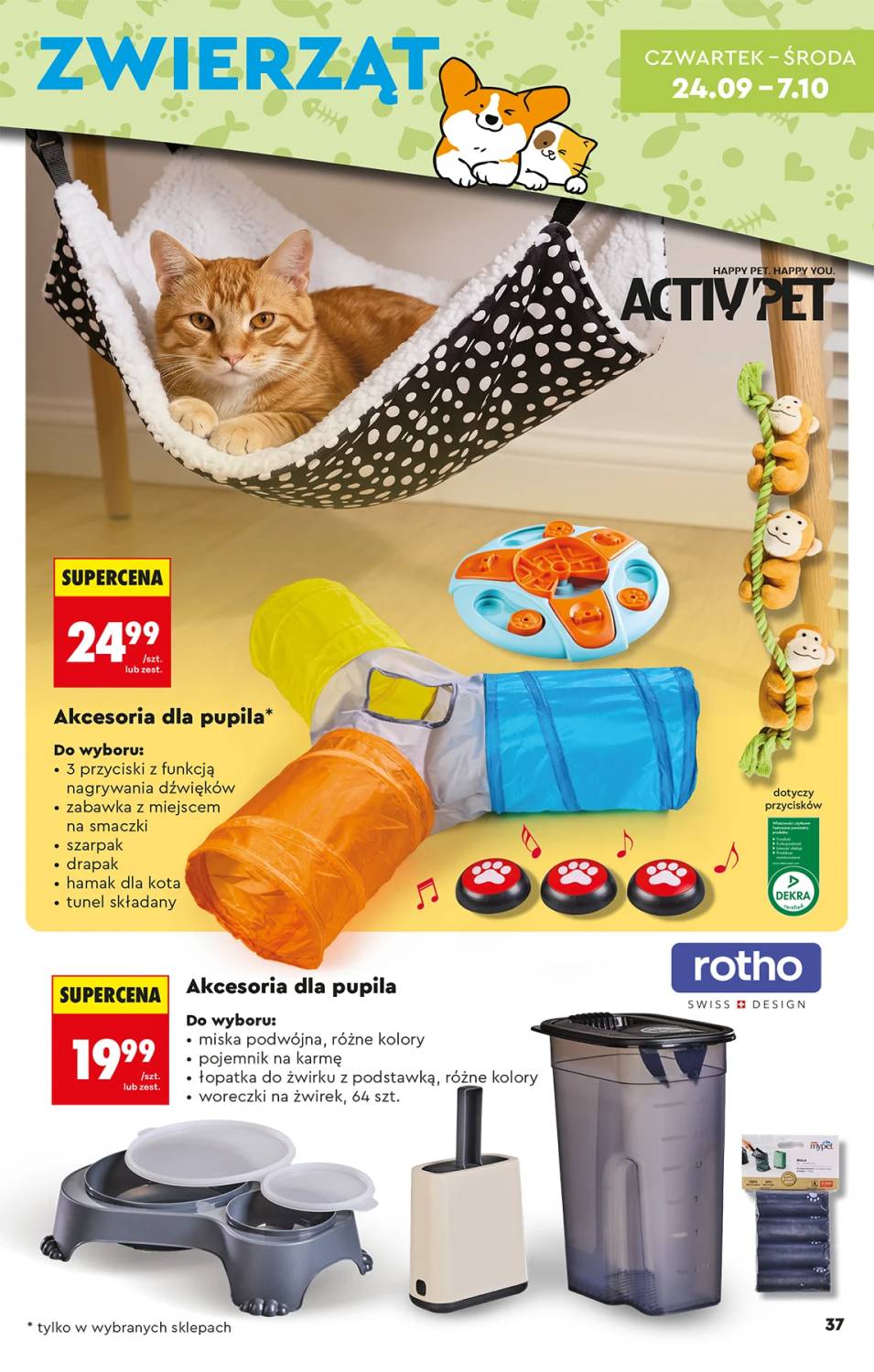 Okładka gazetki